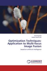 Optimization Techniques: Application to Multi-focus Image Fusion