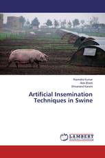Artificial Insemination Techniques in Swine