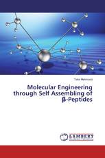 Molecular Engineering through Self Assembling of β-Peptides