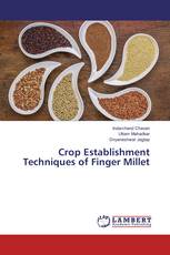 Crop Establishment Techniques of Finger Millet