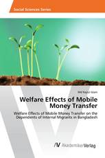 Welfare Effects of Mobile Money Transfer