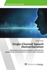 Single-Channel Speech Dereverberation