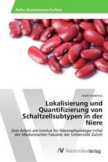 Lokalisierung und Quantifizierung von Schaltzellsubtypen in der Niere