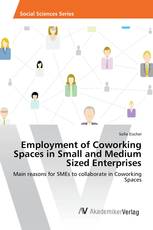 Employment of Coworking Spaces in Small and Medium Sized Enterprises