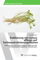 Etablierung von Juncus effusus auf Torfmooskultivierungsflächen