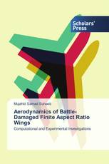 Aerodynamics of Battle-Damaged Finite Aspect Ratio Wings