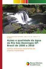 Ações e qualidade da água do Rio São Domingos-SP-Brasil de 2000 a 2010