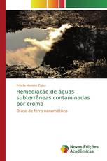 Remediação de águas subterrâneas contaminadas por cromo
