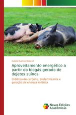 Aproveitamento energético a partir do biogás gerado de dejetos suínos