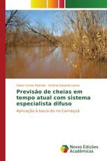 Previsão de cheias em tempo atual com sistema especialista difuso