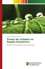 Fluxos de carbono na Região Amazônica