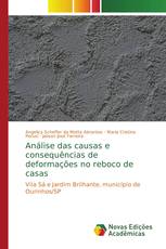 Análise das causas e consequências de deformações no reboco de casas