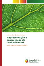 Representação e organização do conhecimento