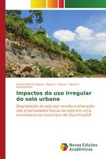 Impactos do uso irregular do solo urbano