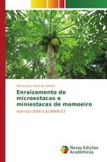 Enraizamento de microestacas e miniestacas de mamoeiro