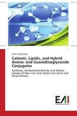 Cationic, Lipidic, and Hybrid Amino- and Guanidinoglycoside Conjugates