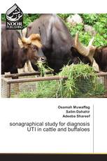 sonagraphical study for diagnosis UTI in cattle and buffaloes