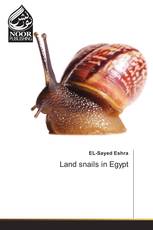 Land snails in Egypt