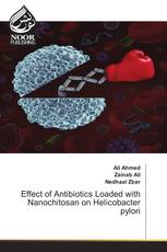 Effect of Antibiotics Loaded with Nanochitosan on Helicobacter pylori