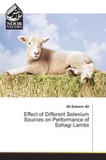 Effect of Different Selenium Sources on Performance of Sohagi Lambs