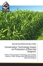 Conservation Technology Impact on Production of Rain-fed Sorghum