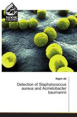 Detection of Staphylococcus aureus and Acinetobacter baumannii
