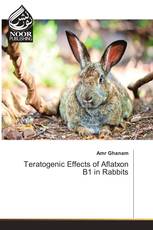 Teratogenic Effects of Aflatxon B1 in Rabbits