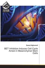 BET Inhibition Induces Cell Cycle Arrest in Mesenchymal Stem Cells