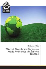 Effect of Phenols and Sugars on Maize Resistance to Late Wilt Disease