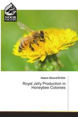 Royal Jelly Production in Honeybee Colonies