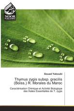 Thymus zygis subsp. gracilis (Boiss.) R. Morales du Maroc