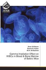 Gamma Irradiation Effect on WBCs in Blood & Bone Marrow of Balb/c Mice