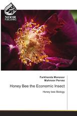 Honey Bee the Economic Insect
