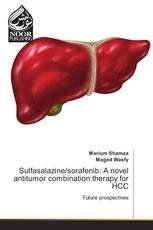 Sulfasalazine/sorafenib: A novel antitumor combination therapy for HCC