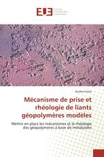 Mécanisme de prise et rhéologie de liants géopolymères modèles