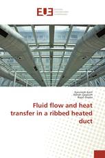 Fluid flow and heat transfer in a ribbed heated duct