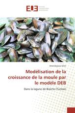 Modélisation de la croissance de la moule par le modèle DEB