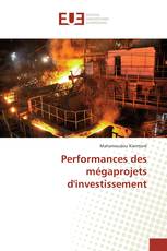 Performances des mégaprojets d'investissement