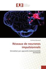 Réseaux de neurones impulsionnels