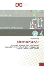 Récepteur EphA7