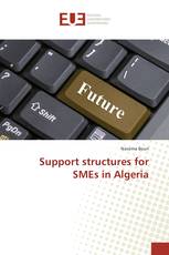 Support structures for SMEs in Algeria