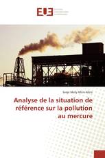 Analyse de la situation de référence sur la pollution au mercure