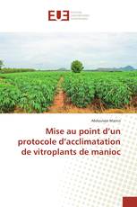 Mise au point d’un protocole d’acclimatation de vitroplants de manioc