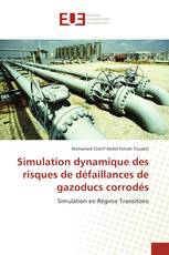 Simulation dynamique des risques de défaillances de gazoducs corrodés