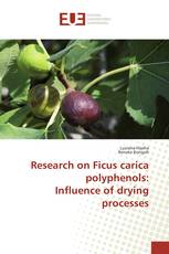 Research on Ficus carica polyphenols: Influence of drying processes