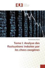 Tome I: Analyse des fluctuations induites par les chocs exogènes