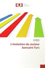 L’évolution du secteur bancaire Turc