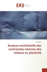 Analyse multiéchelle des contraintes internes des métaux en plasticité