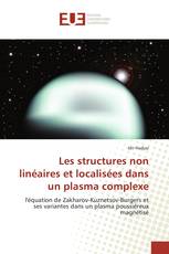 Les structures non linéaires et localisées dans un plasma complexe