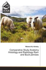 Comparative Study Anatomy Histology and Radiology Ram and Buck penises